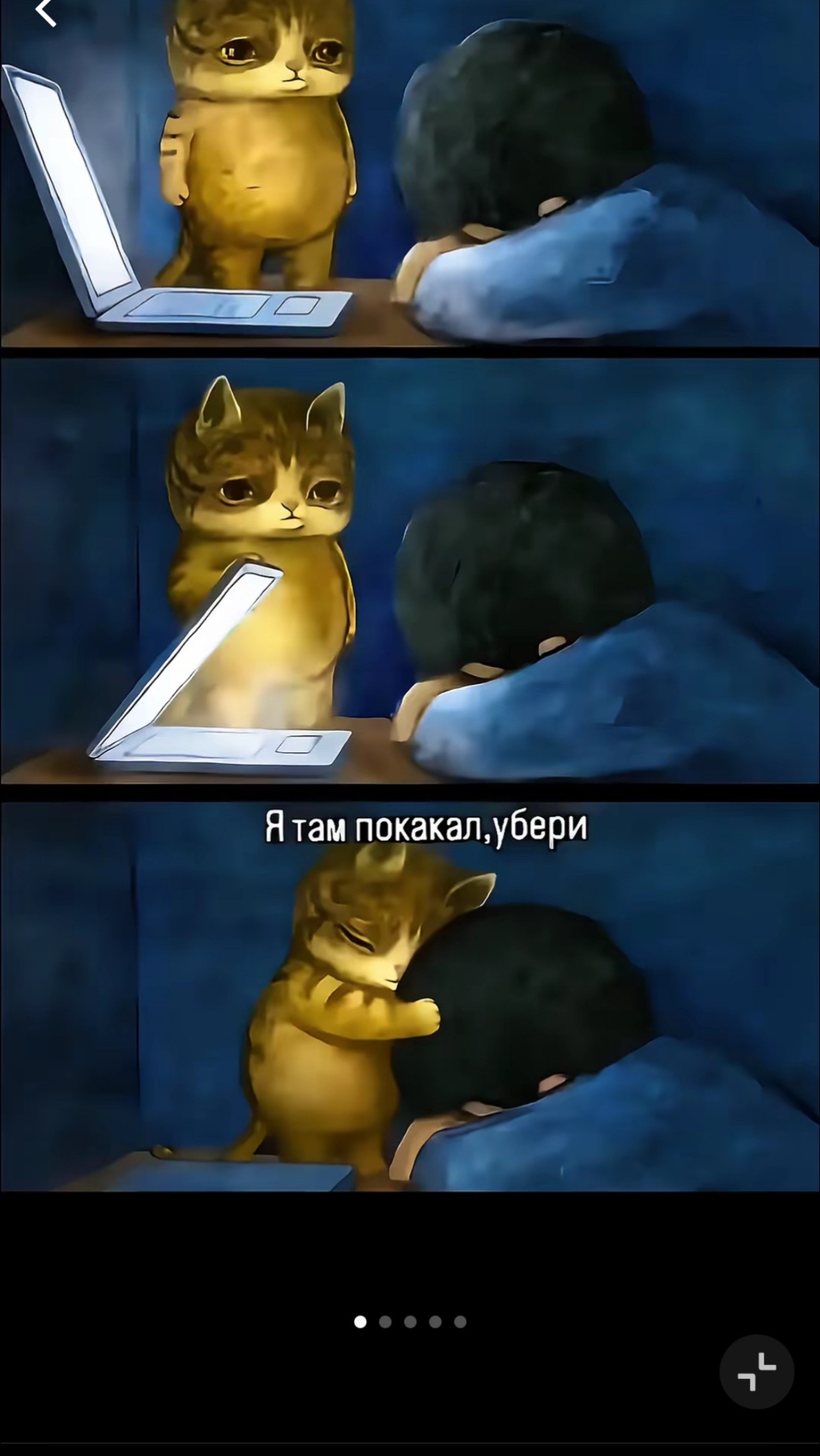 @Аль&euml;на