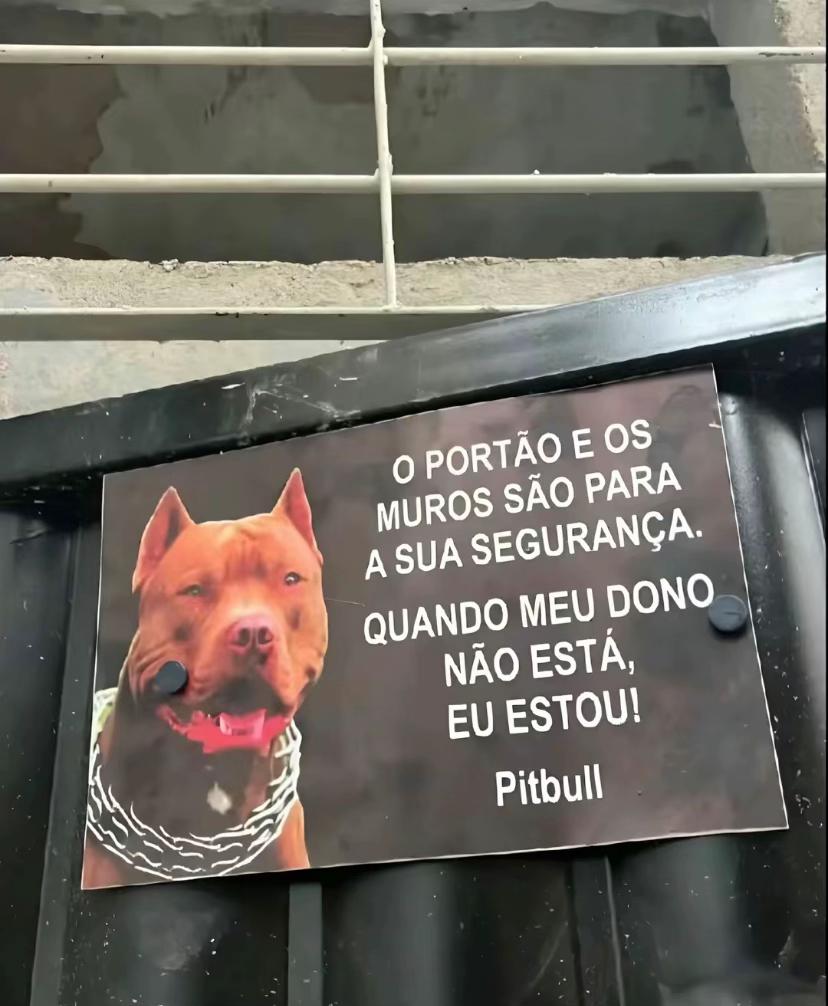 @Allexia Almeida