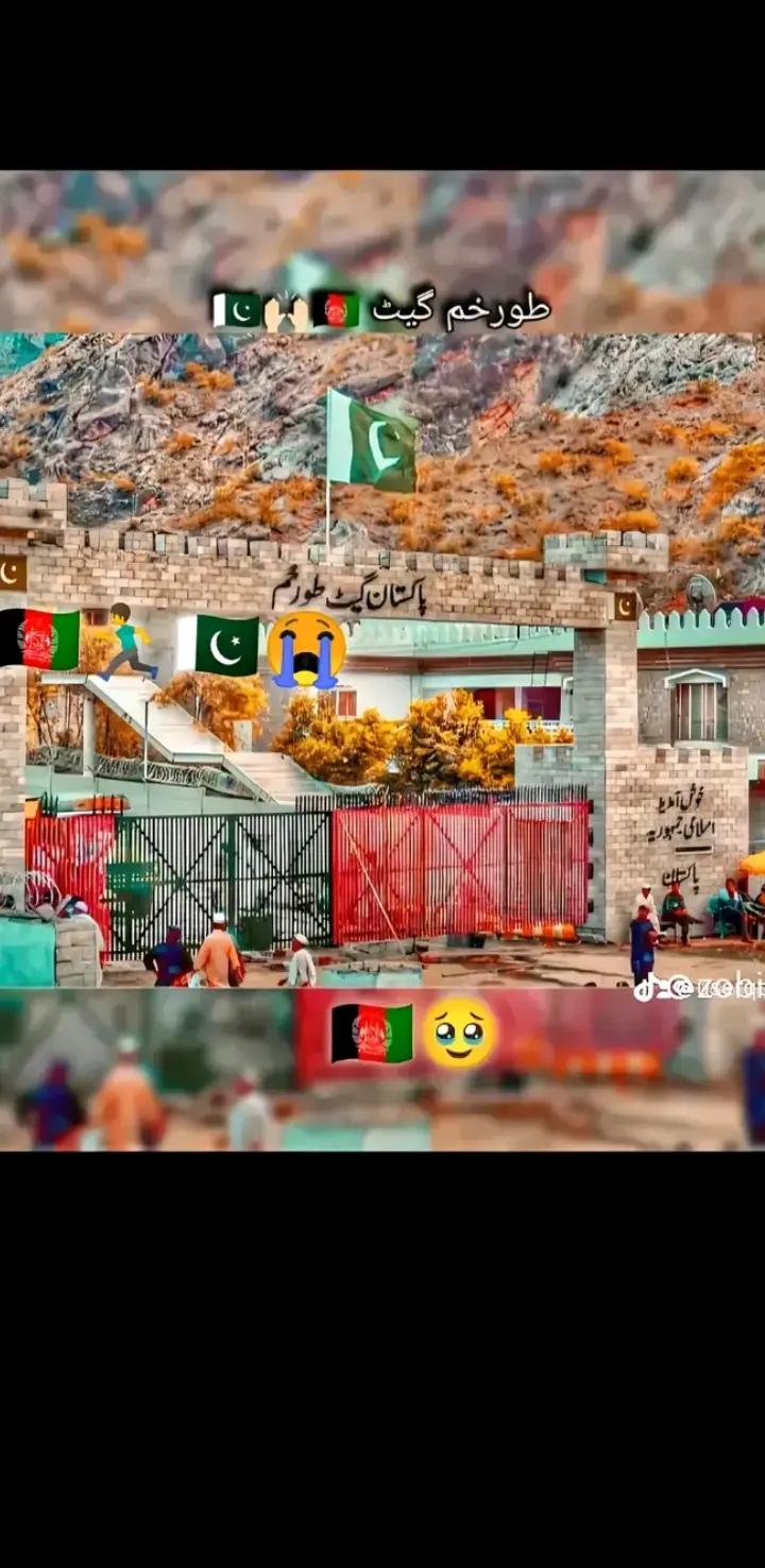 @tayyab khan