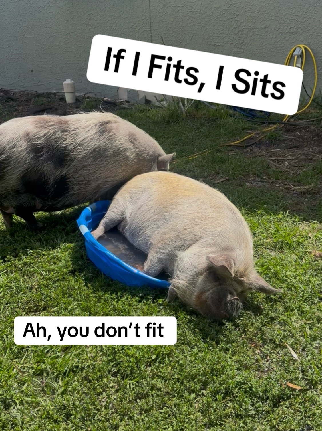 @Michele Fasnacht