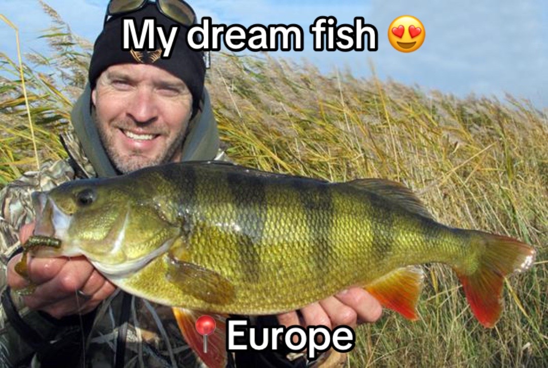 @baltimorebanditfishing