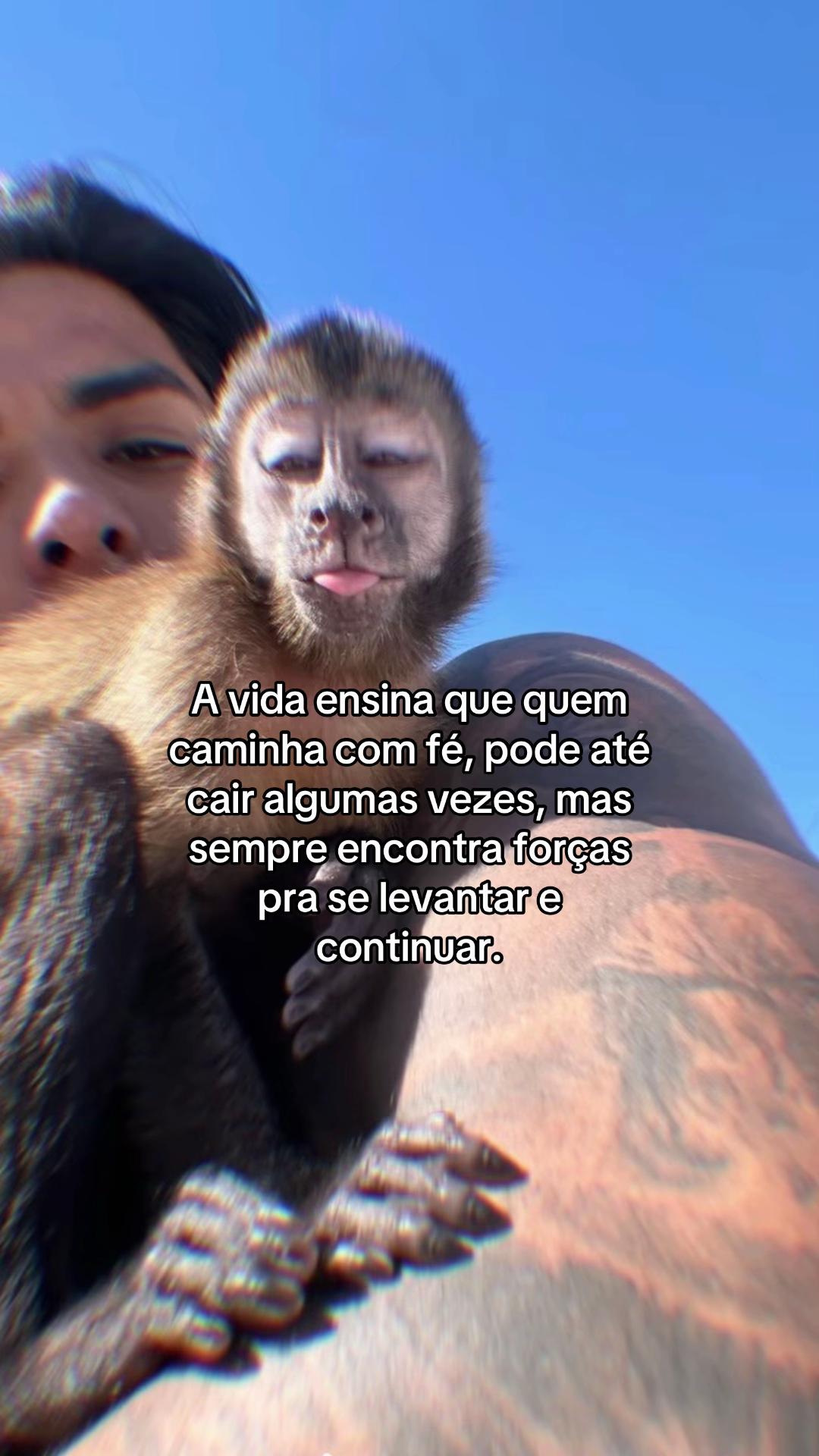 @Bielzada