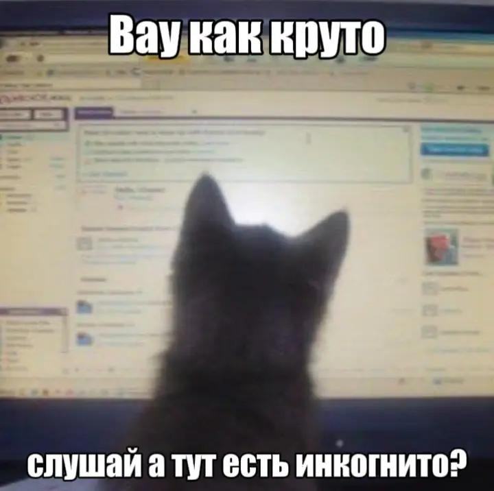 @mythware666