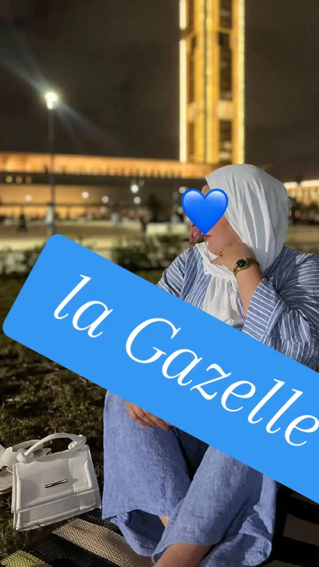 @Gazelle Eleulma