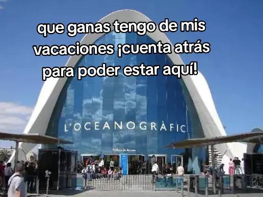 @sandra🦁