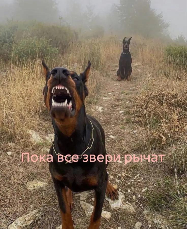 @muratik_burmaldatik