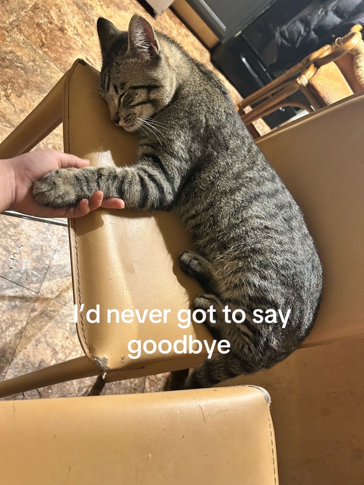 @Never_9000