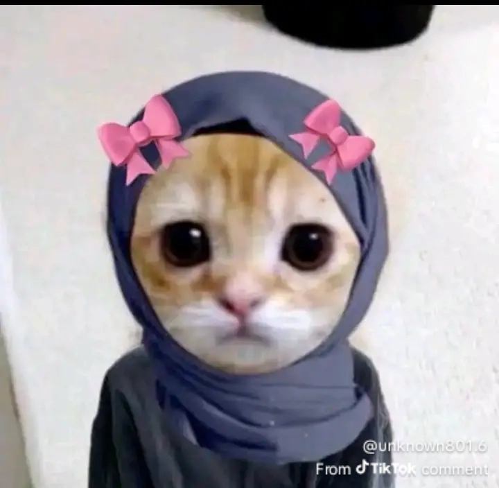 @فُاطُمہツ