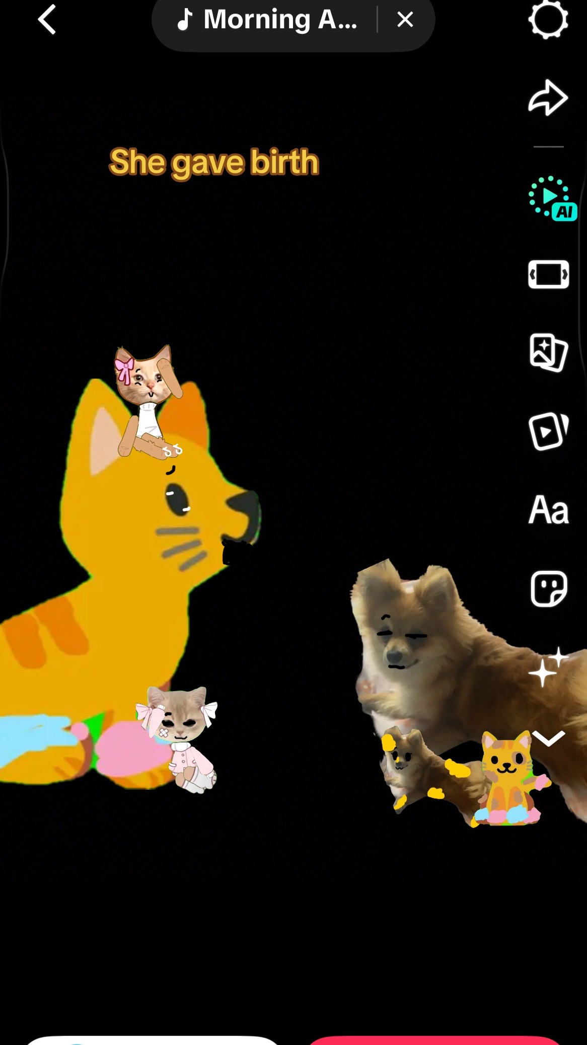 @Cici cool cat