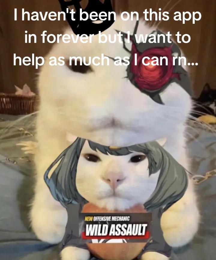 @๐๐๐๐ โ๐ฆ๐บ๐ข๐๐23