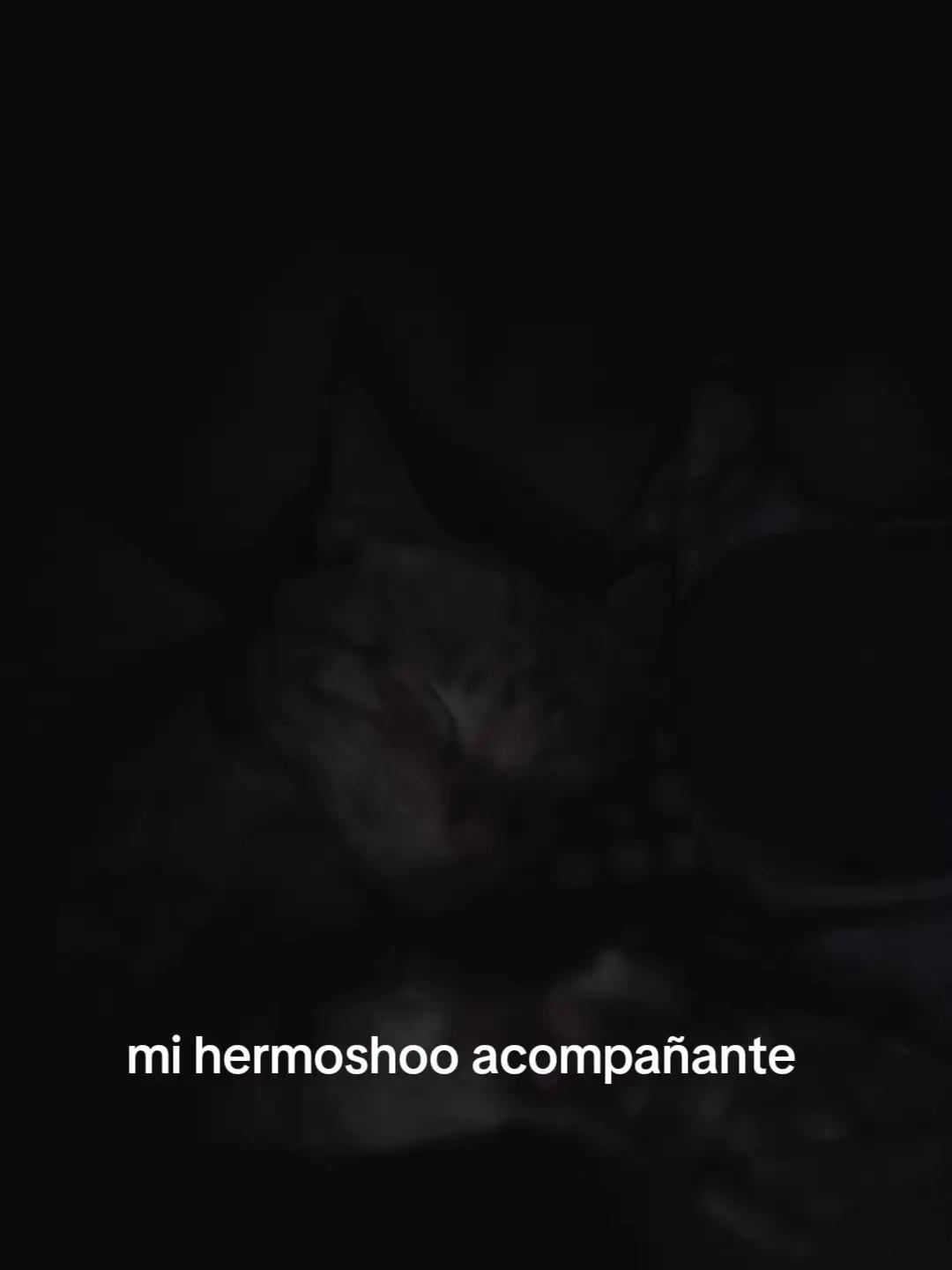 @Sebasti&aacute;nP