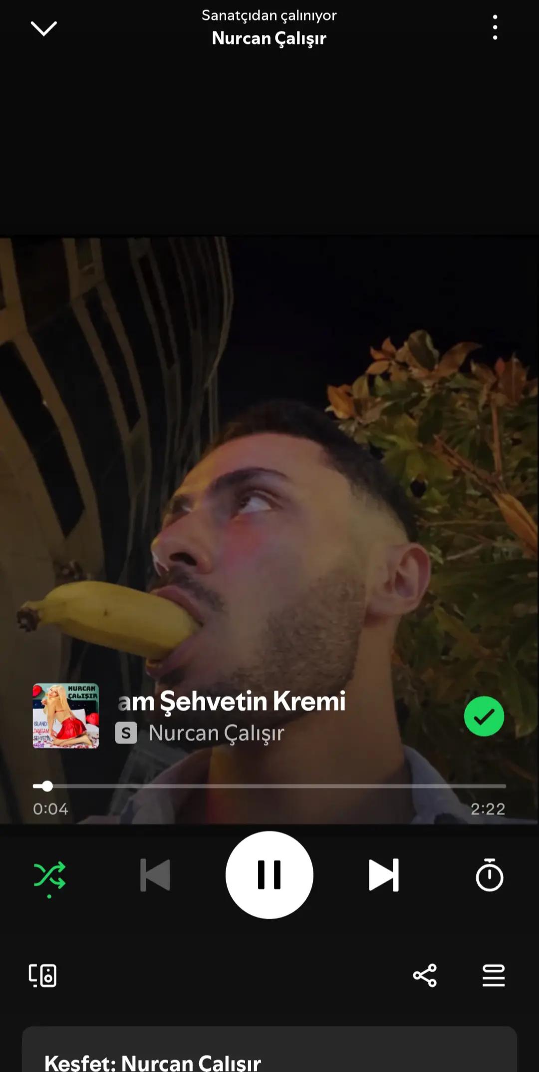 @NURCAN ÇALIŞIR