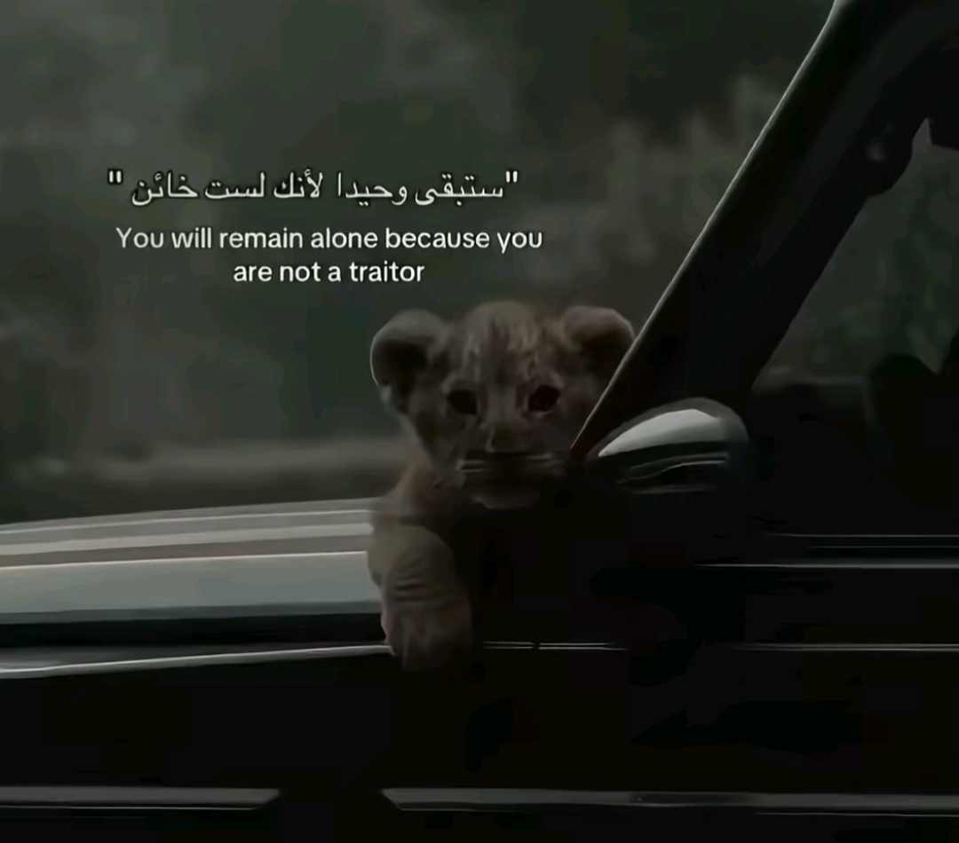 @محمد الزايدي