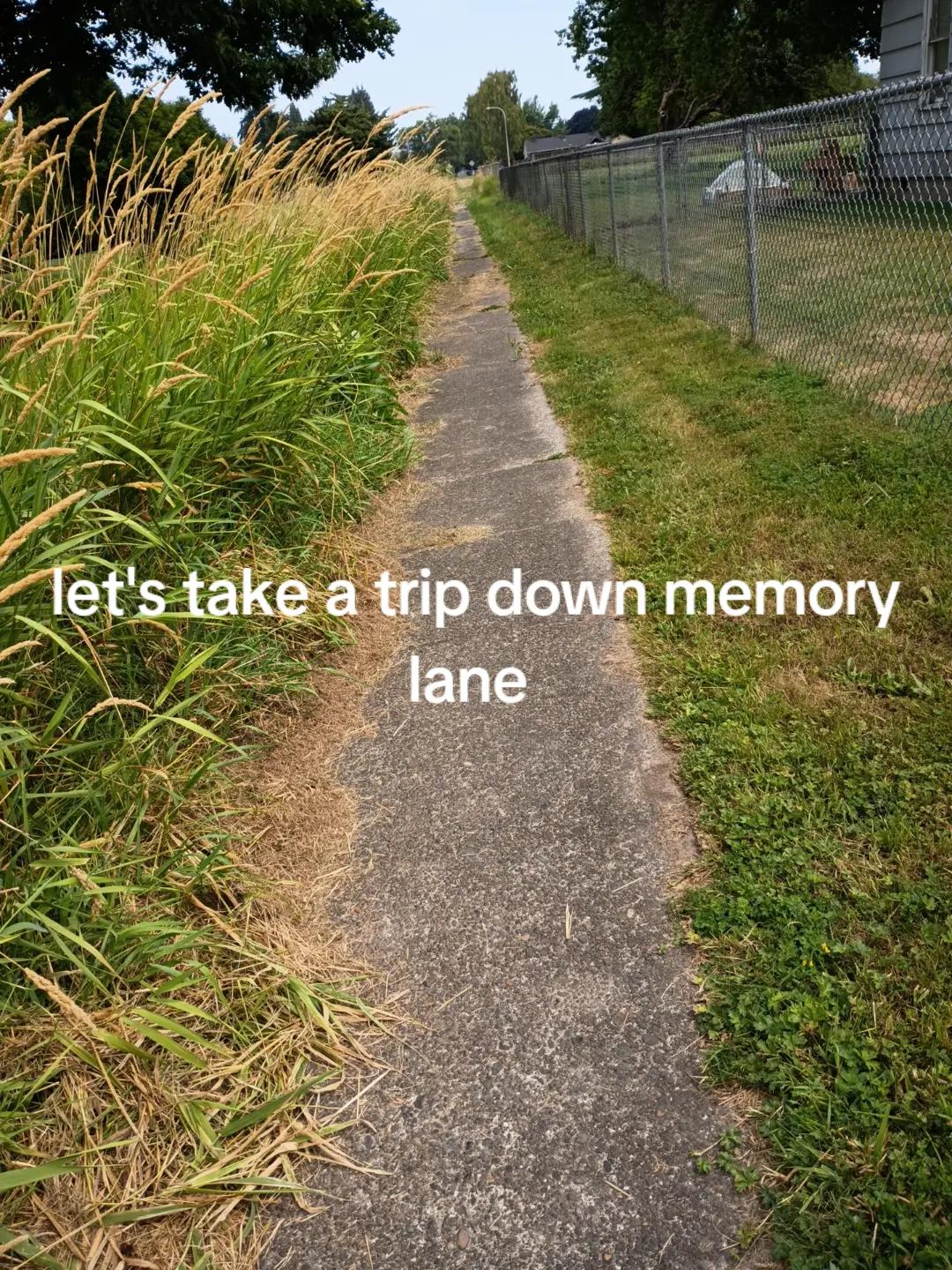 @yolo✨