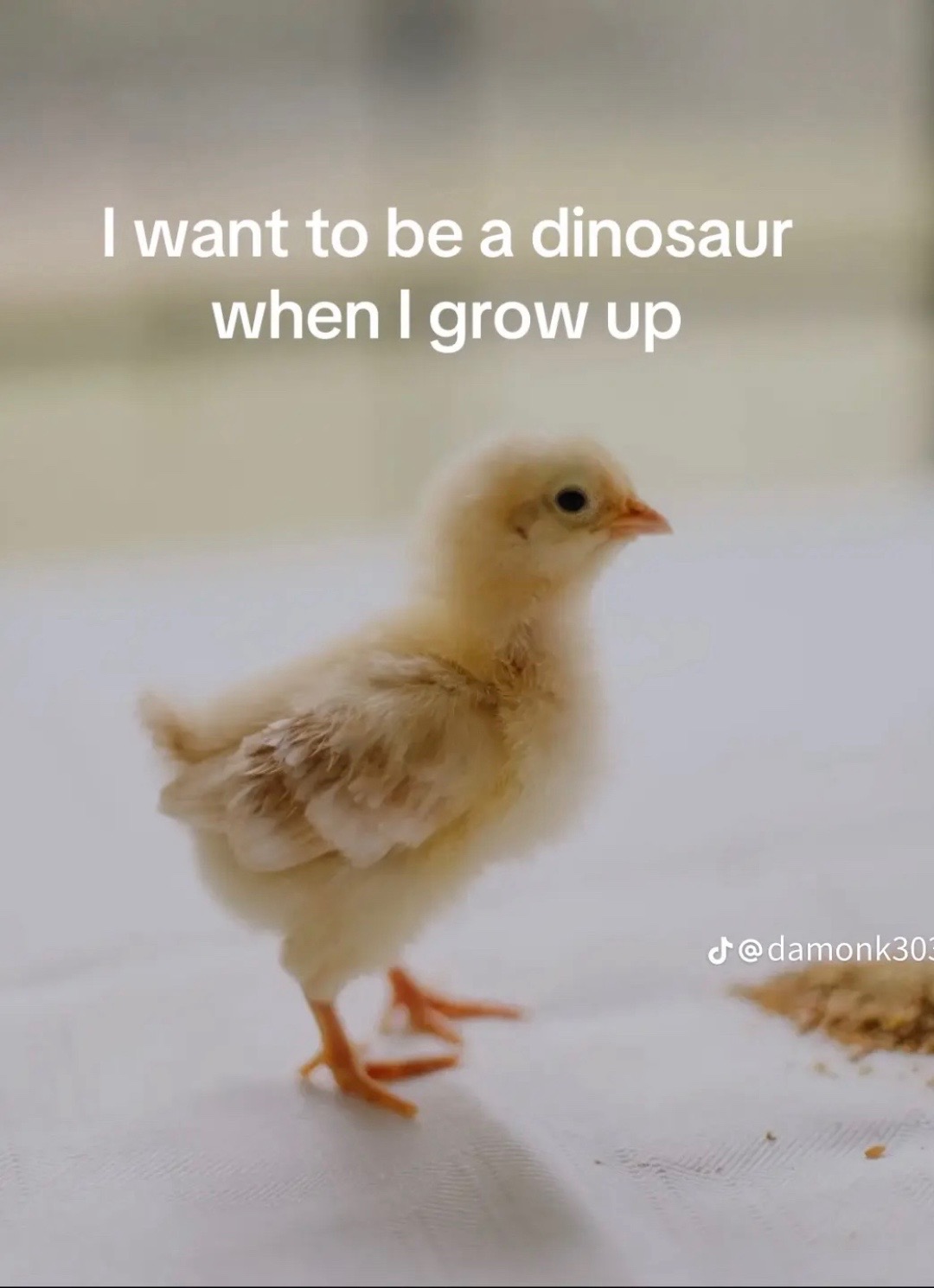 @F1R31NMYS0UL