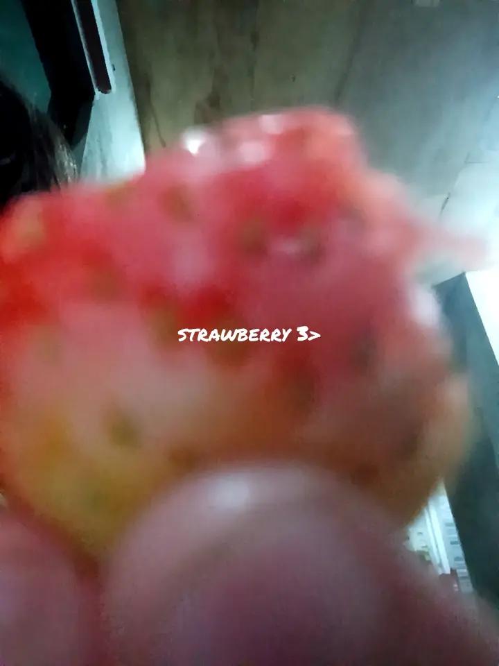 @丰μ∆§ f3l1c1ty §∆μ丰