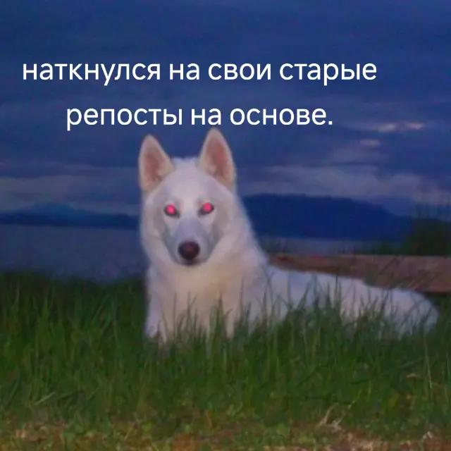 @second life