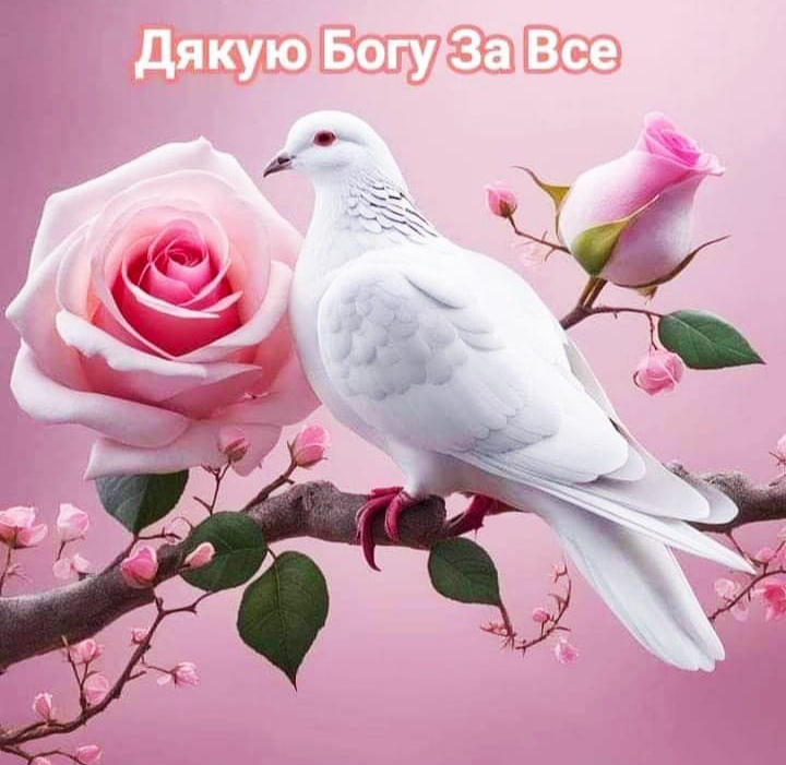 @Валюша🥰🥰🥰