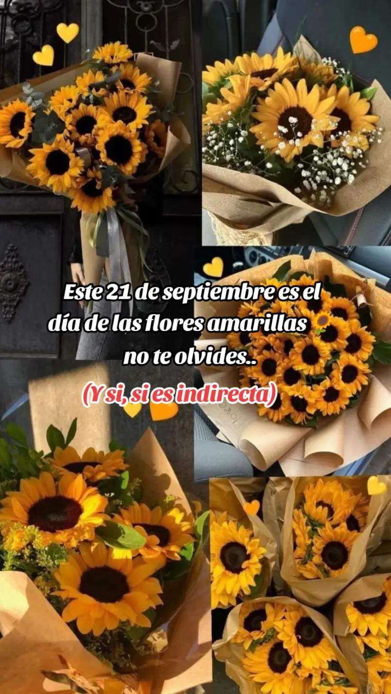 @⚓🍀More🍀⚓
