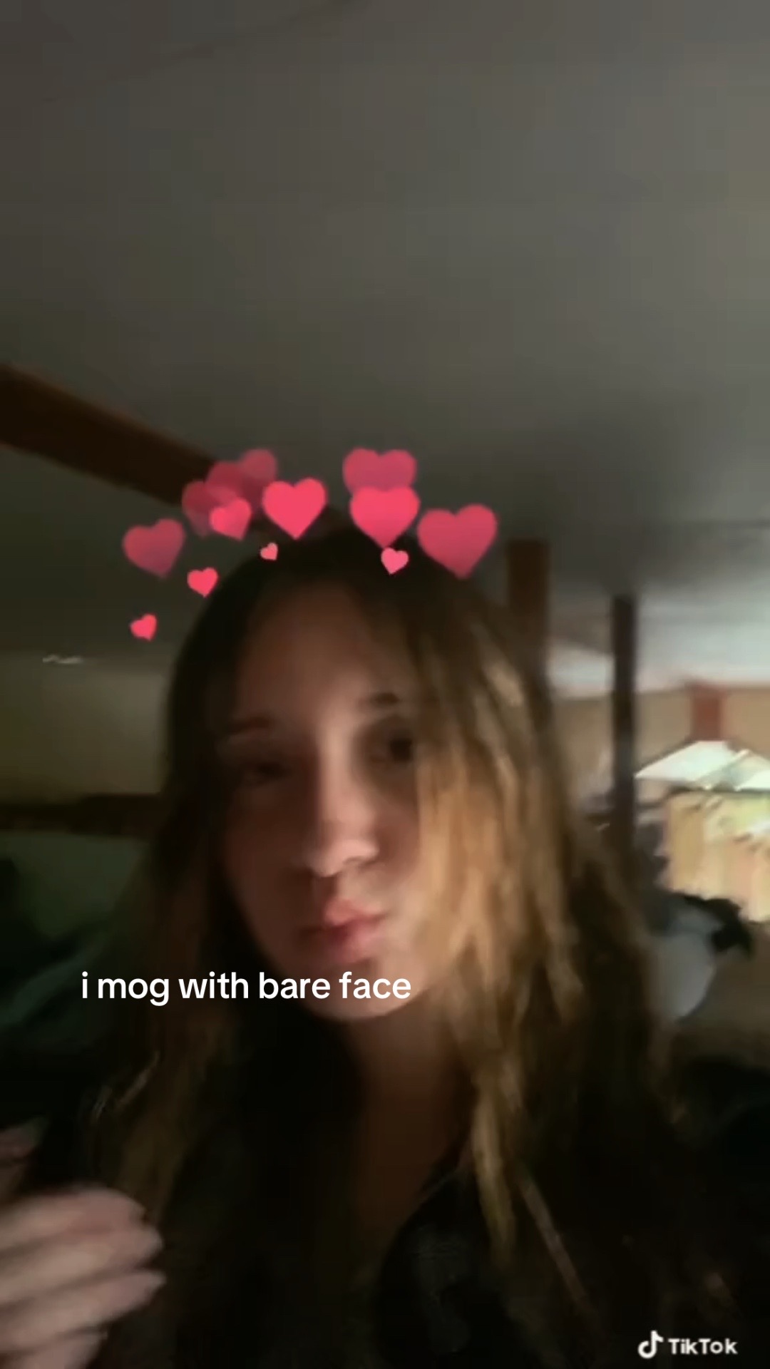 @lexii