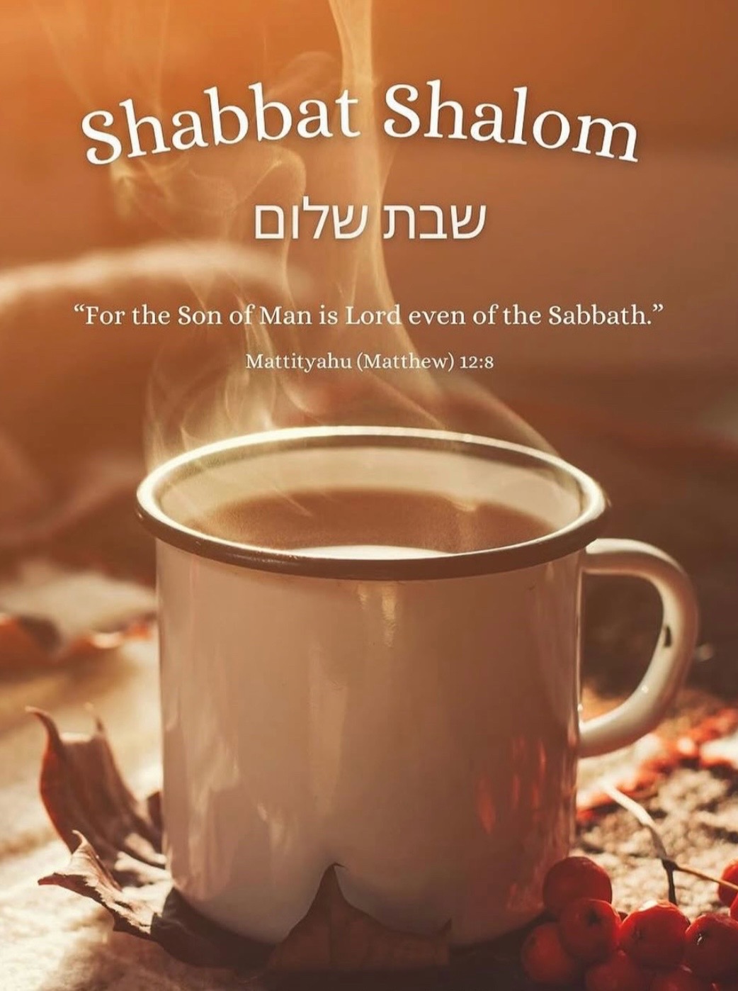 @SajedaLovesTheTorah♥️