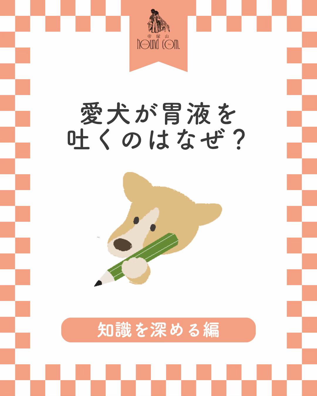 @帝塚山ハウンドカム