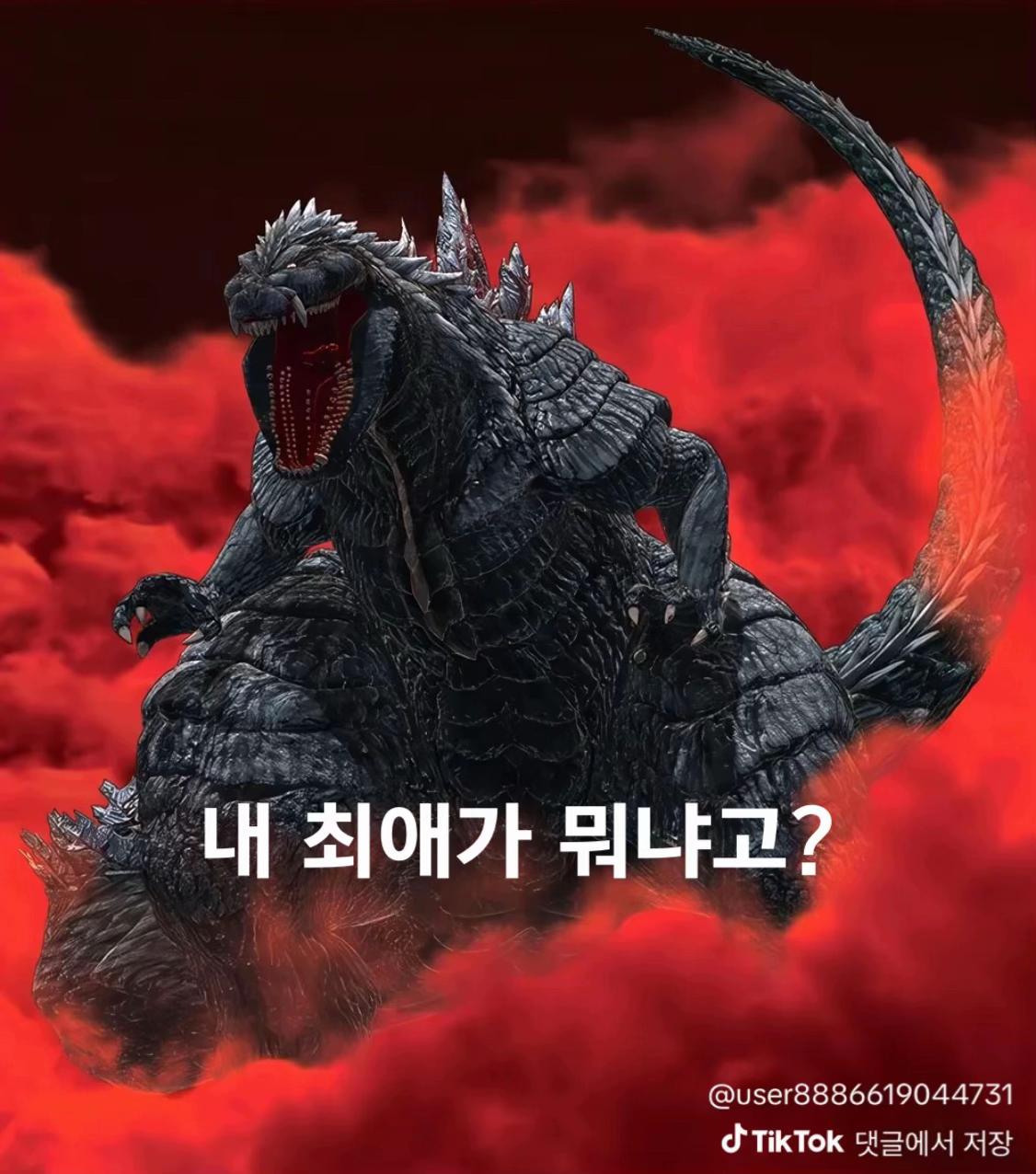 @명월 바라기 포초