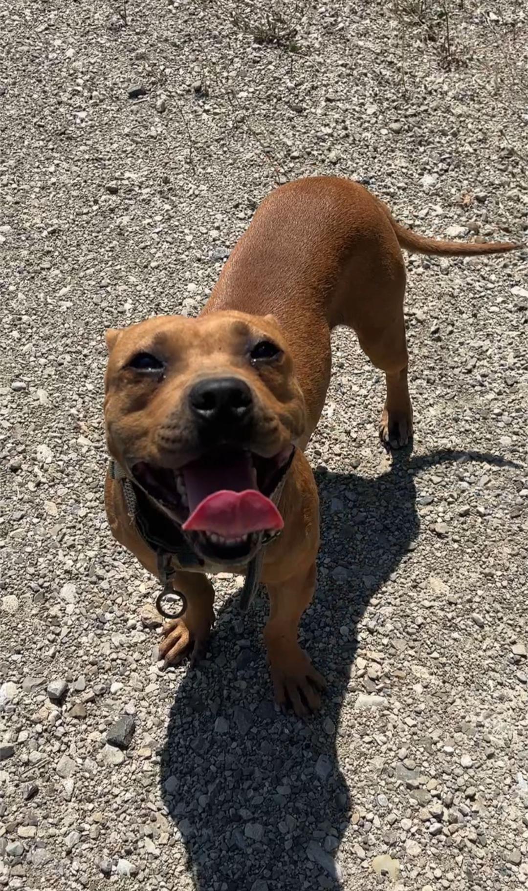 @Joker_pit8