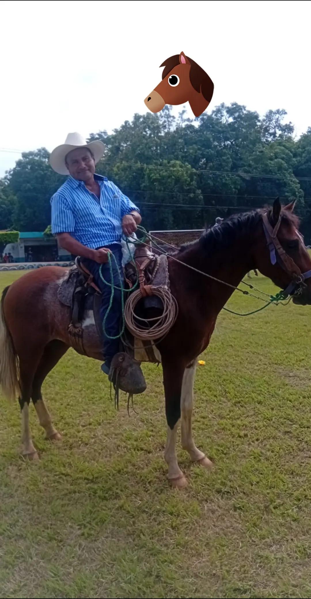 @Carmelo Santos240