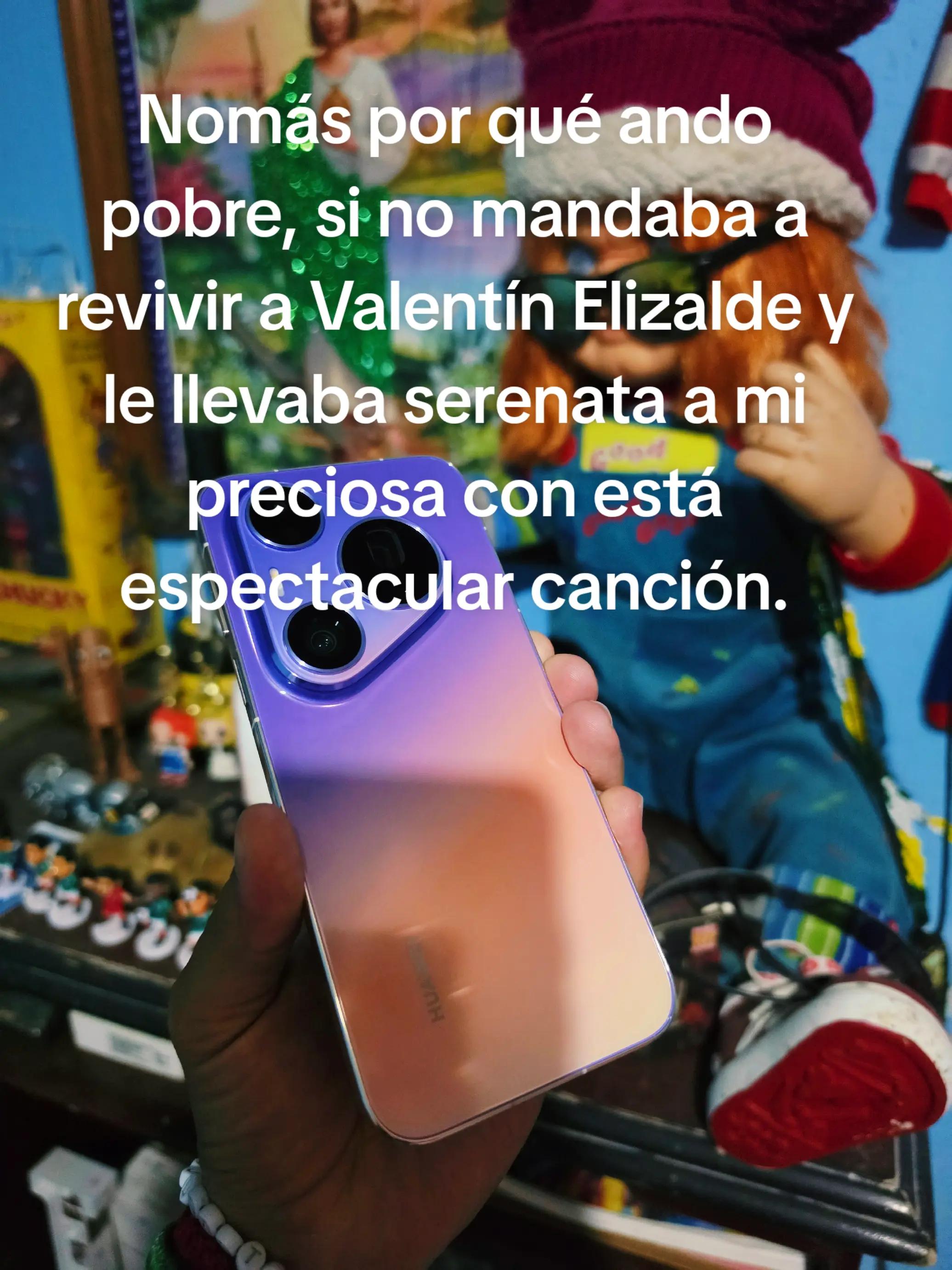 @Luis Moreno271