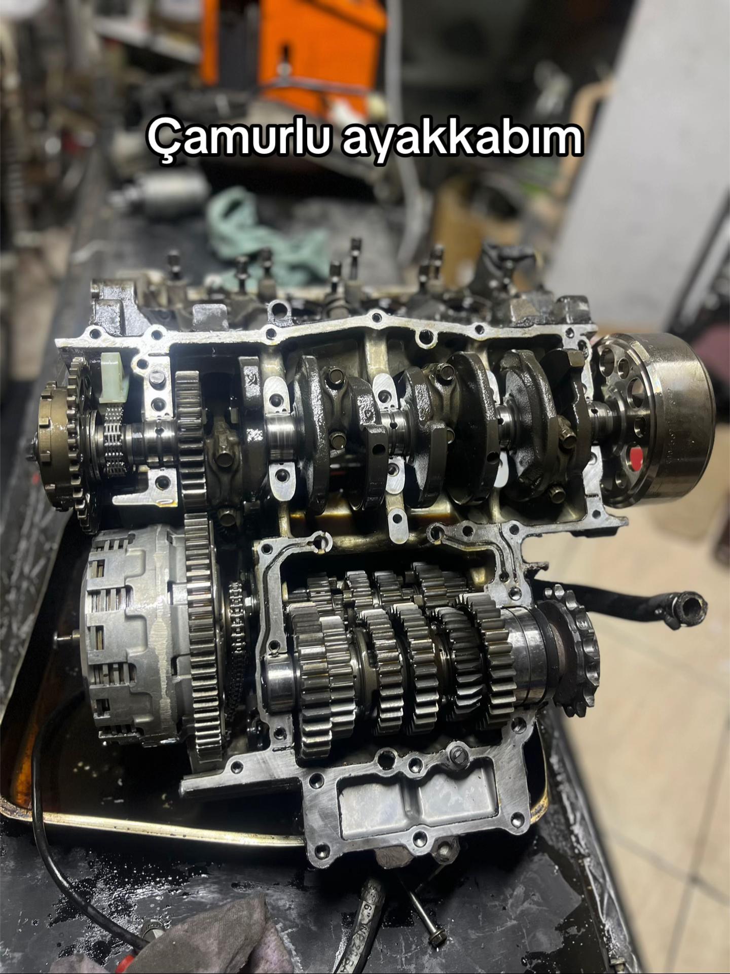 @Alp Dinarlı