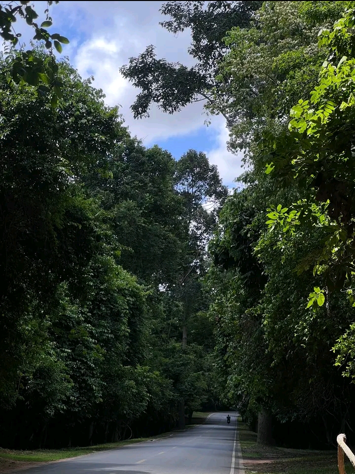 @Mโ