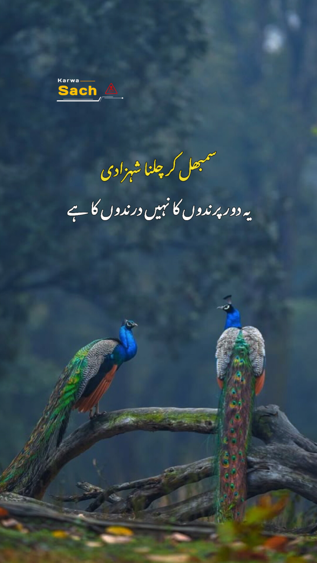 @Karwa Sach🐎