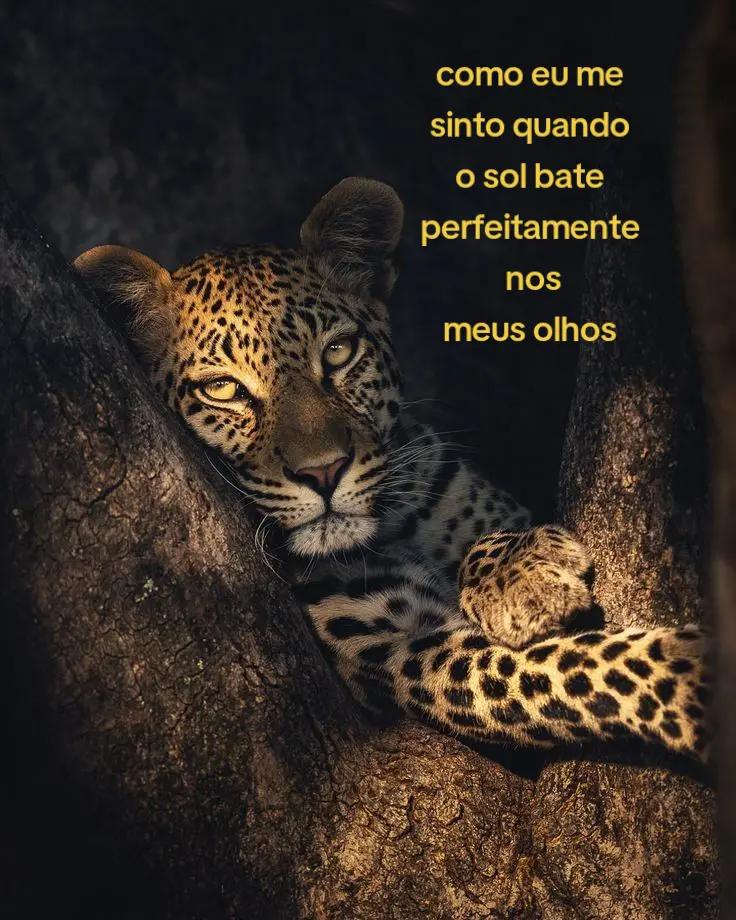 @@anaa.rsx