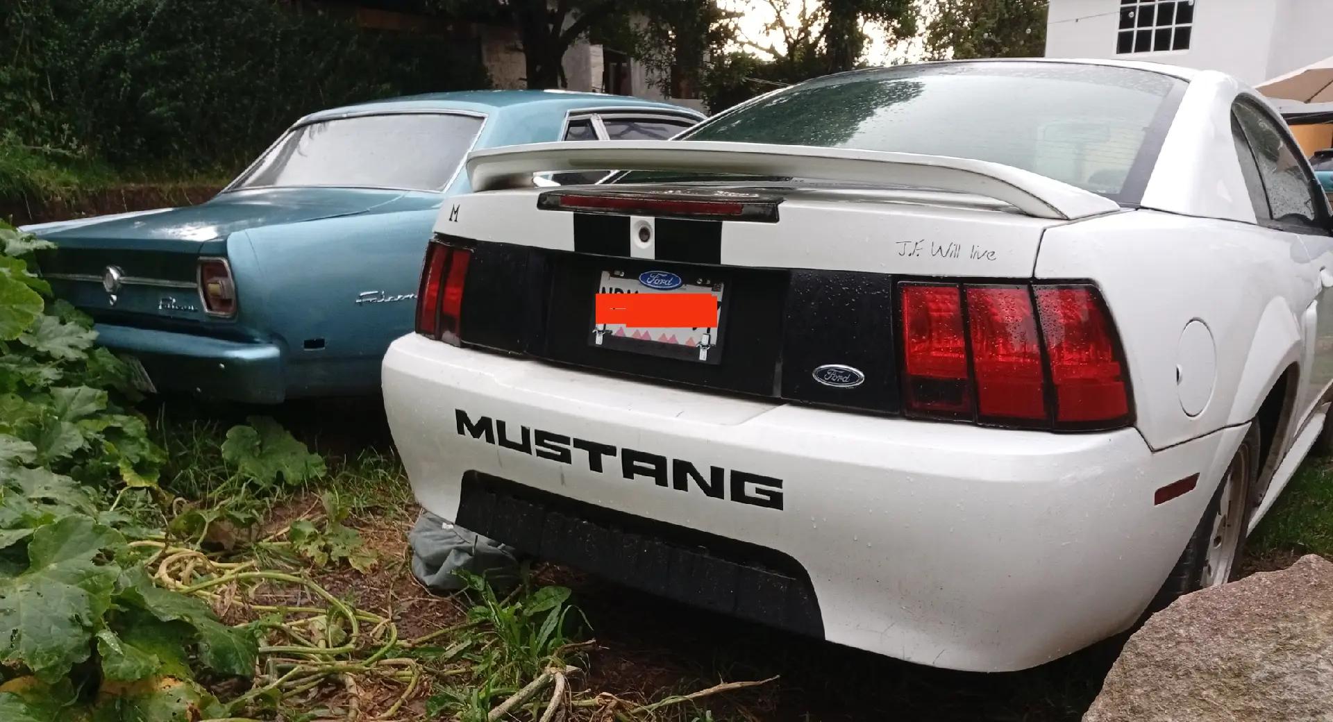 @Mustang Falcon