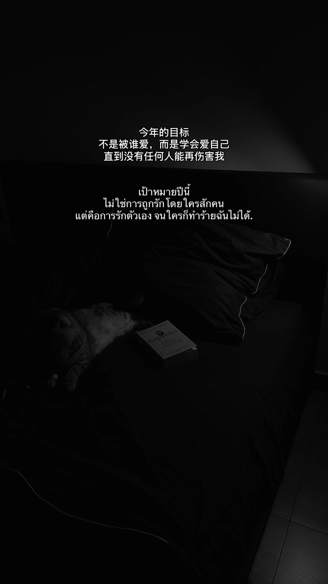 @yanyanx45