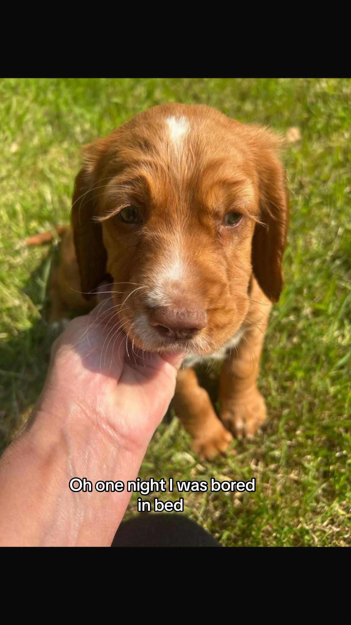 @Wanders with Willow