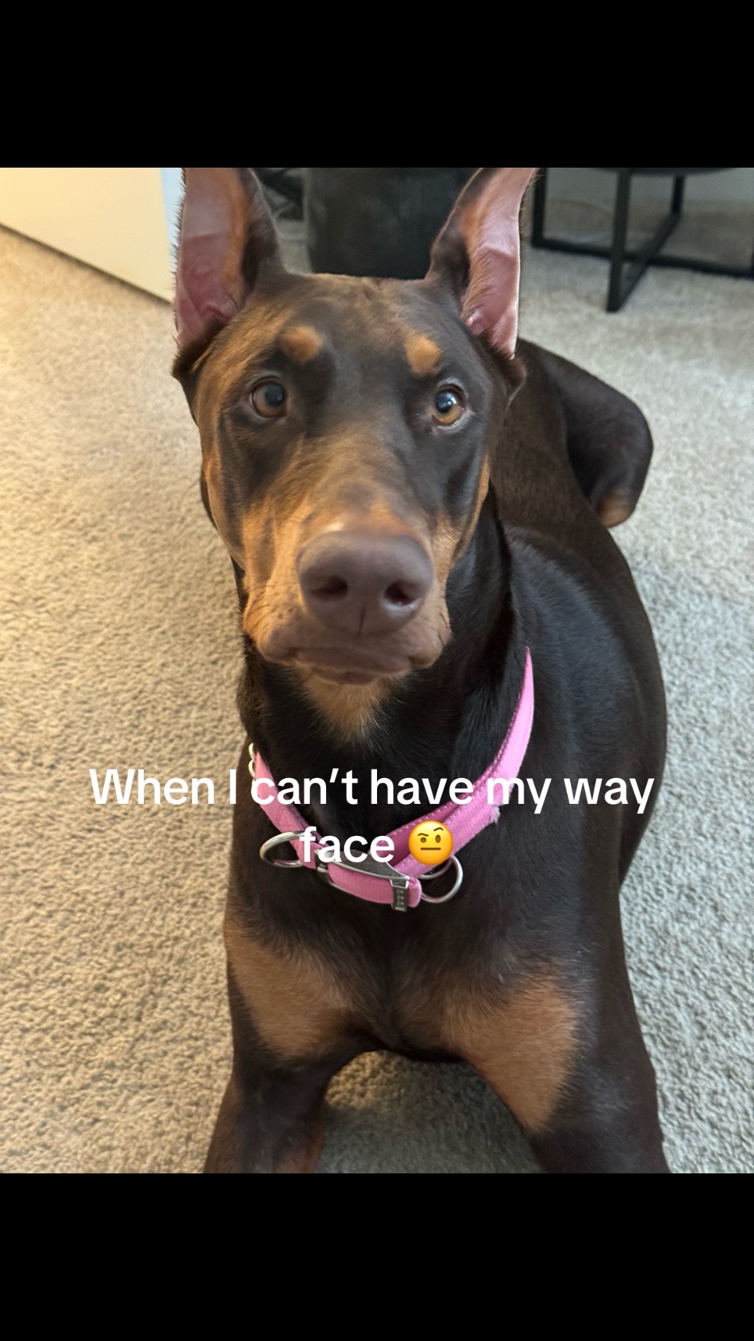 @ShantitheDobie
