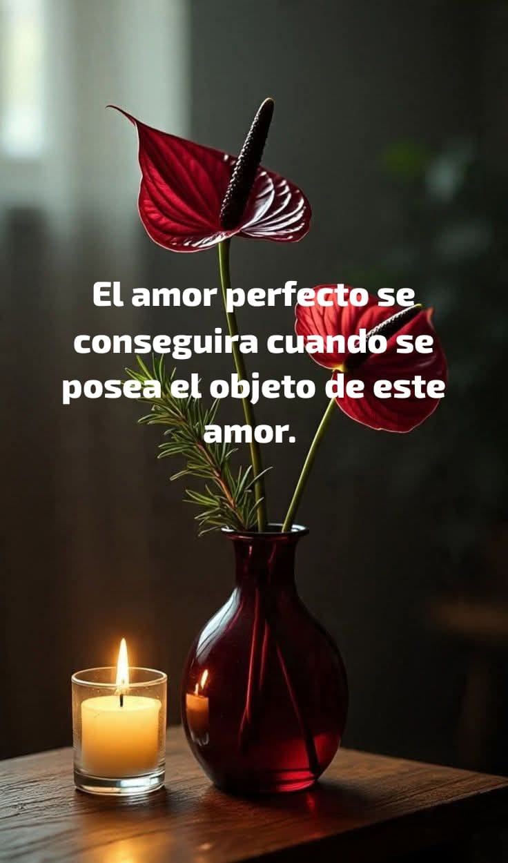 @normita