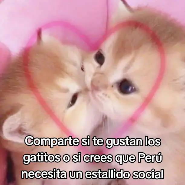 @Nat Mendoza