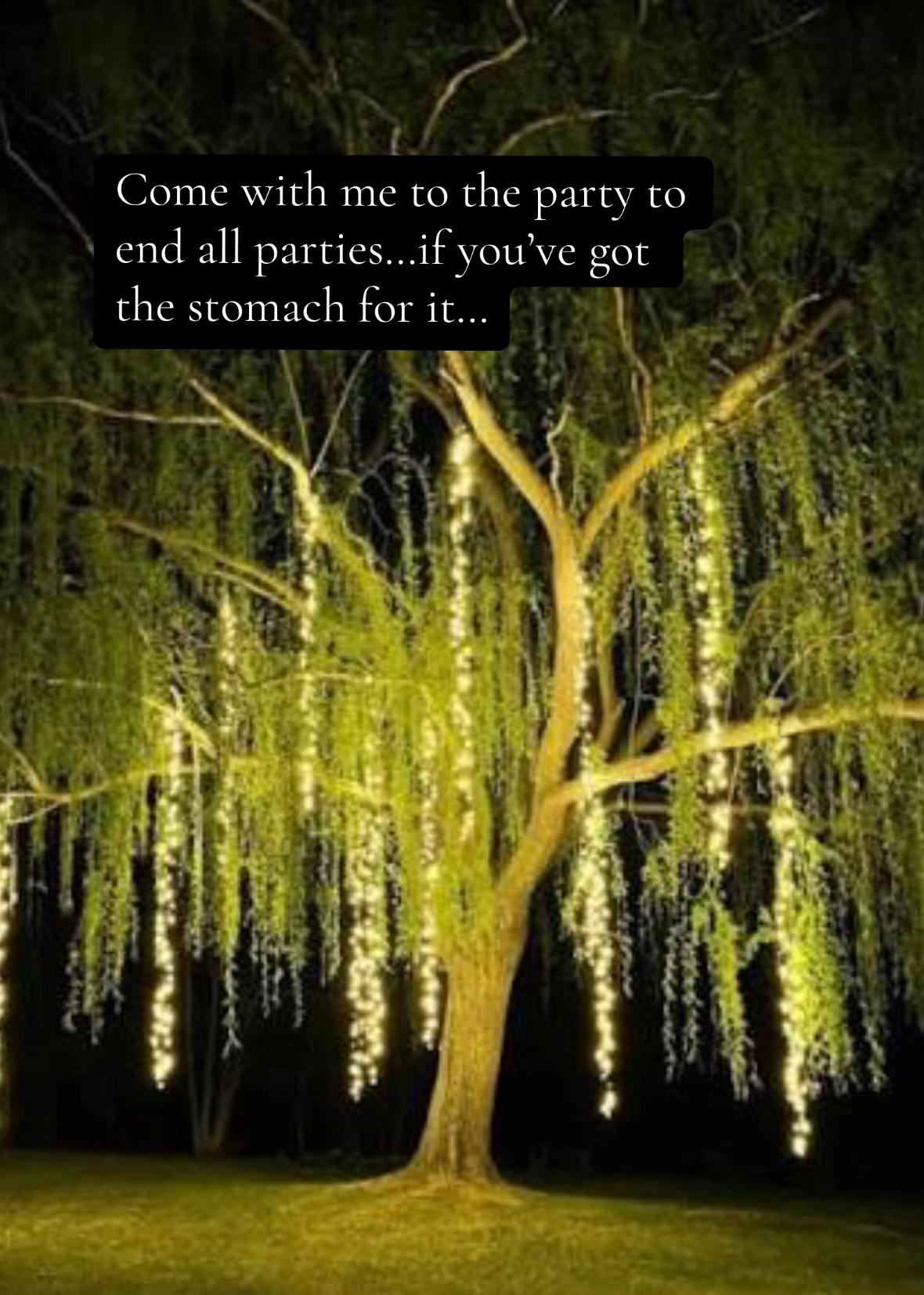 @Lucy Nichol/Lucy Roth - Author