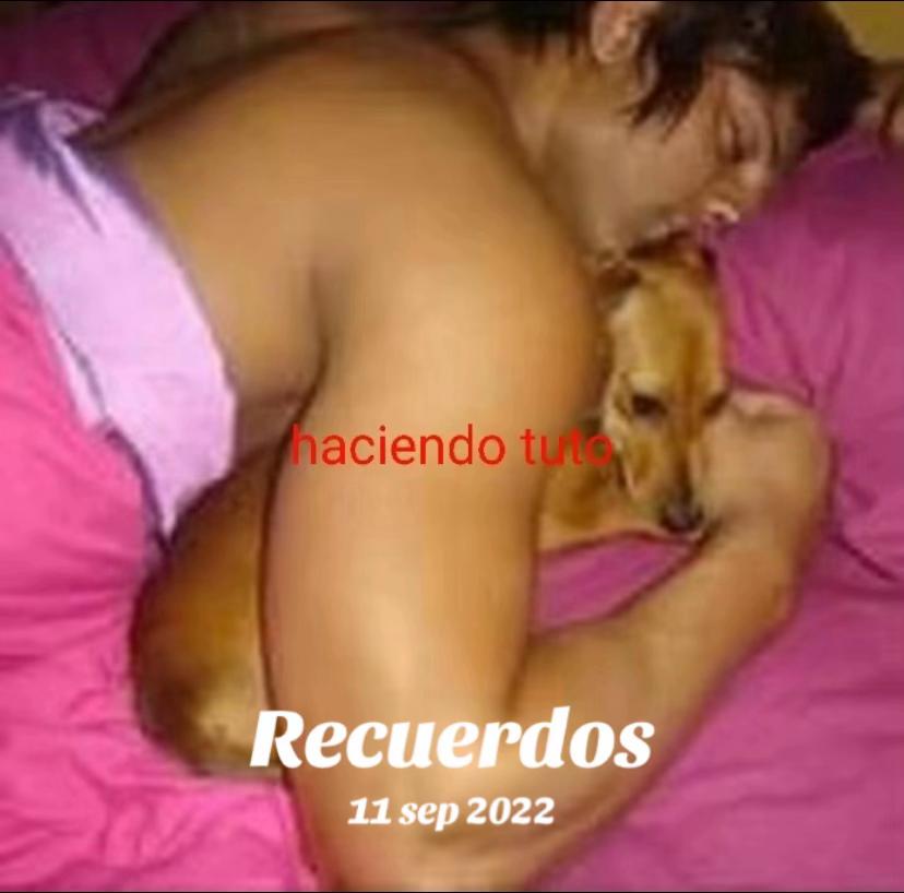 @paltanekee