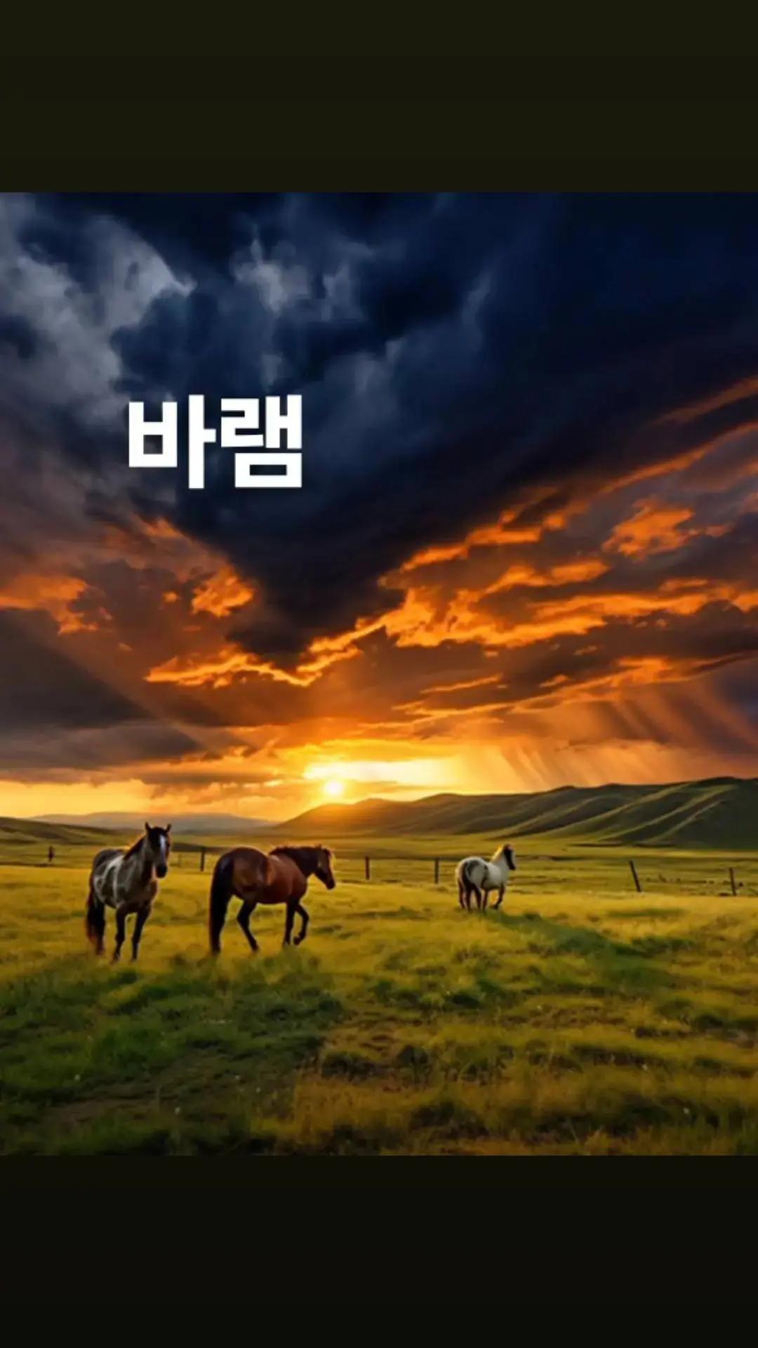 @아름다운인생