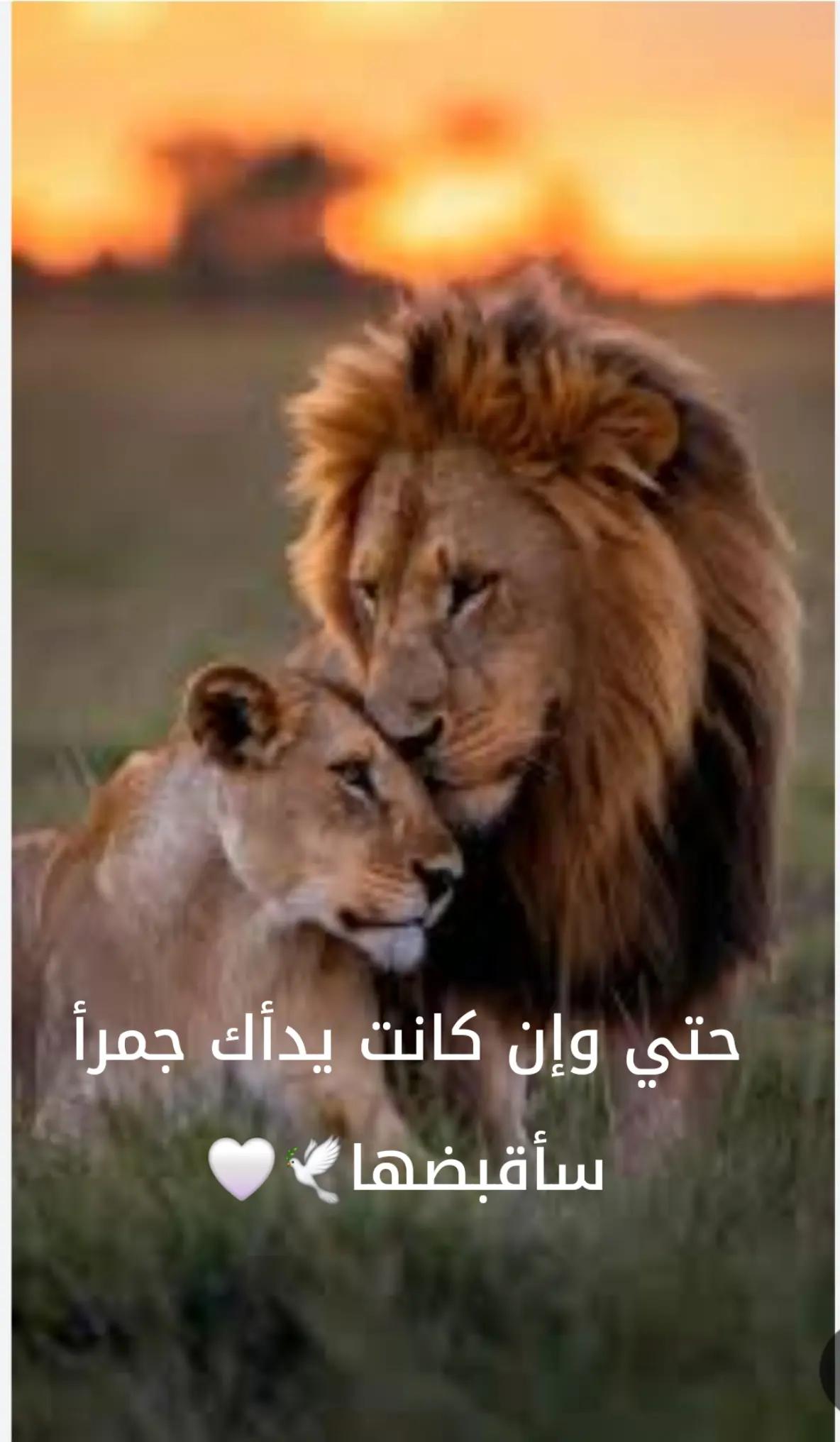 @Aٍl۠ ّaّsُm۠a۠rّ💎🦅