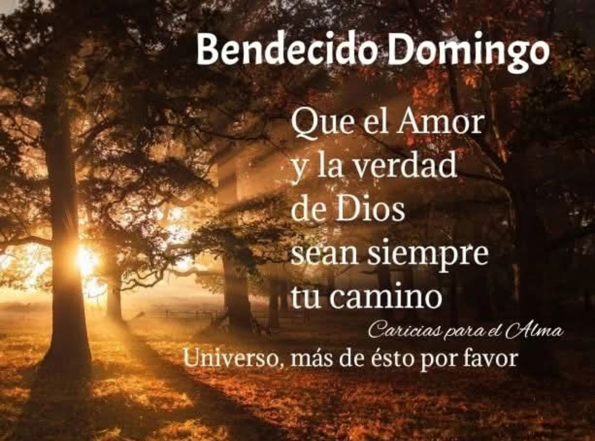 @Fernanda Stricker