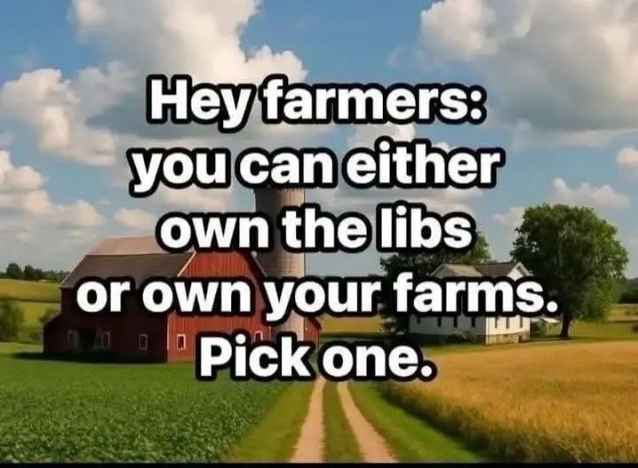 @useyourvoiceusa 🇺🇸