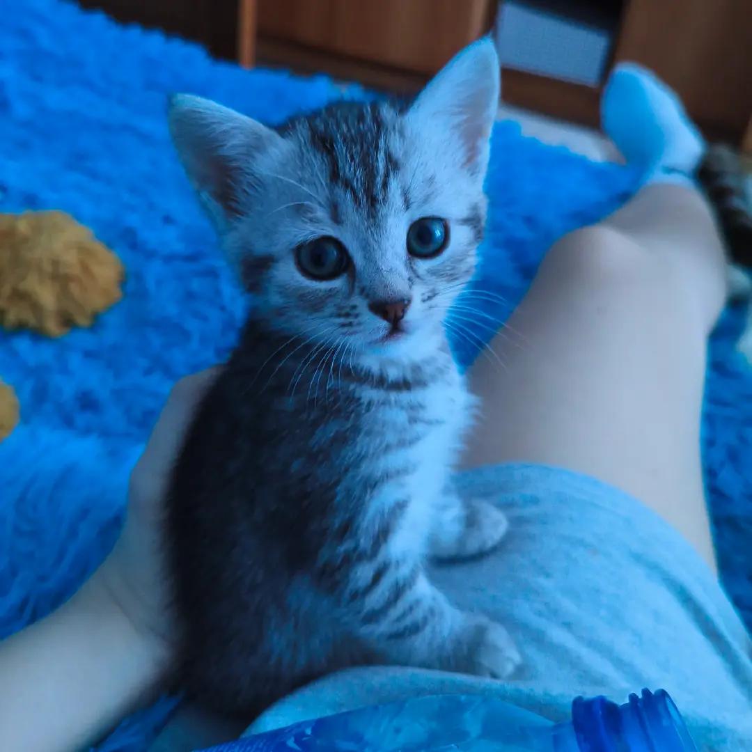 @ватафа