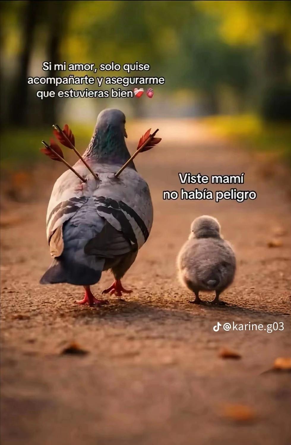 @Jacki 🦋