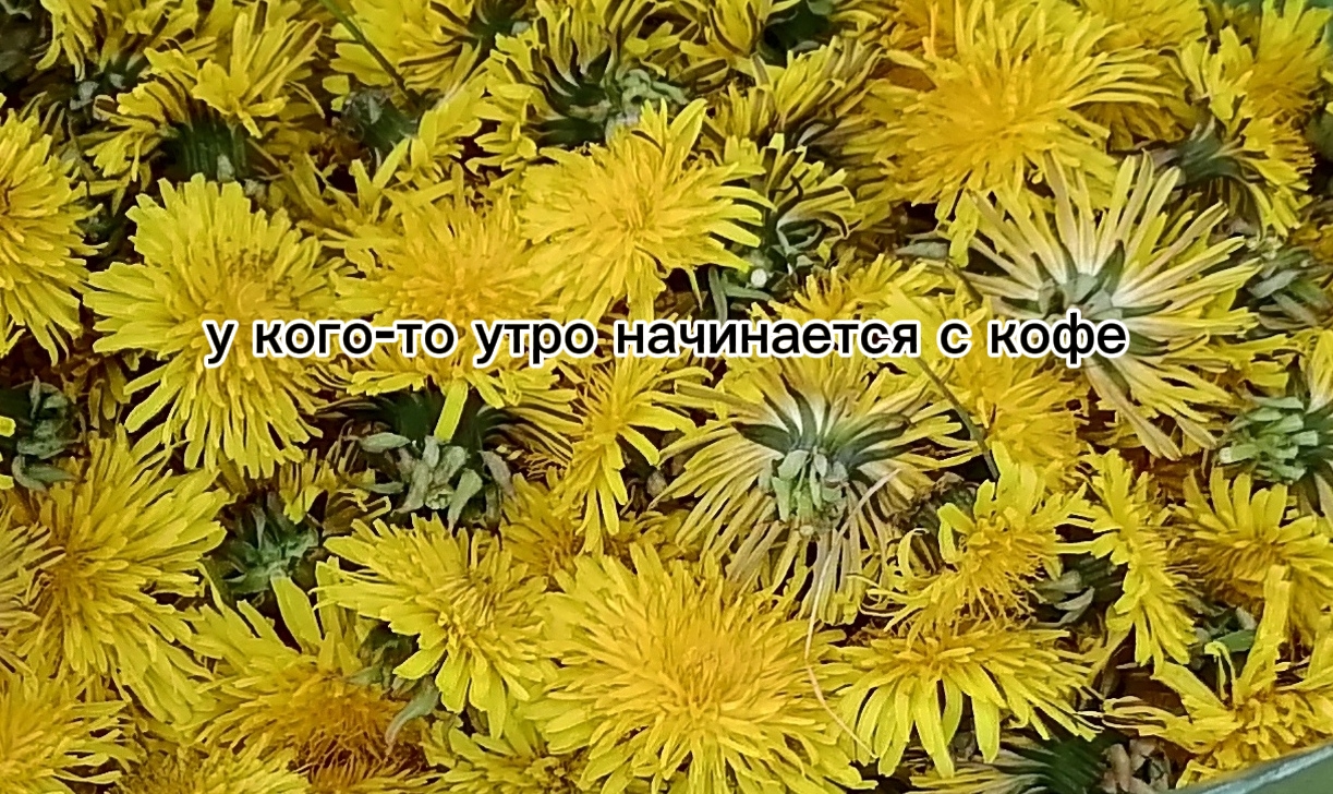 @бородинский хлеб