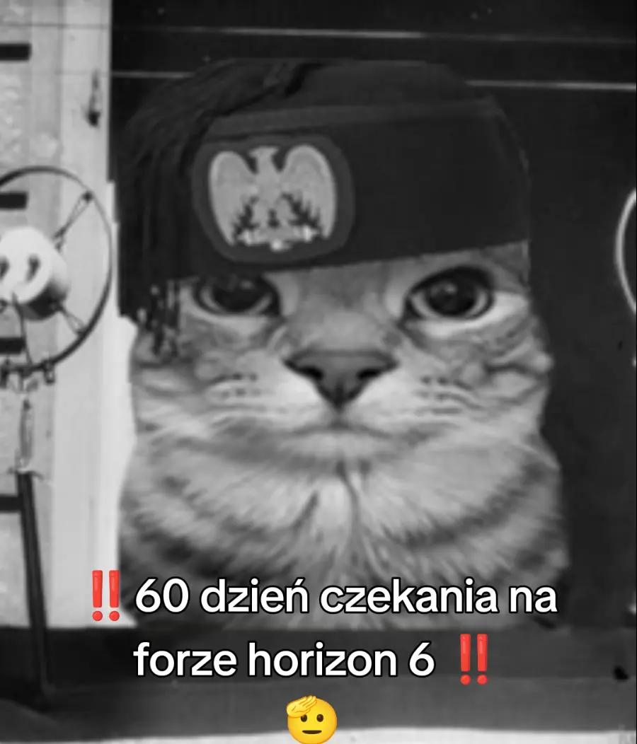 @Forza_Horizon_account